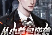 完结版《爽文!从小草包逆袭成一方大鳄》章节阅读-书格格
