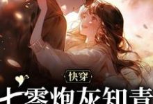 在线搜索杨桃顾白薇的完整小说，免费阅读快穿：七零炮灰知青的逆袭之路-书格格