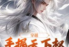 萧天佐的故事在哪本书里?免费阅读穿越:手握天下权,醉卧美人膝-书格格