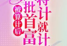《被算计后,疯批首富将计就计了》全集免费在线阅读(林冉陆霆骁)-书格格