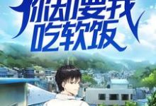 免费阅读 叶峰楚烟儿为主角的小说,我医术无双,你却要我吃软饭?在线看-书格格
