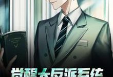 《觉醒大反派系统,我成新的气运之子》全集免费在线阅读(萧凡)-书格格