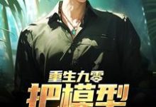 主角叫杜仲小说重生九零:把模型改成战机章节免费阅读-书格格