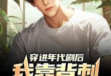 穿进年代剧后,我靠背刺他人变强王刚,穿进年代剧后,我靠背刺他人变强小说免费阅读-书格格