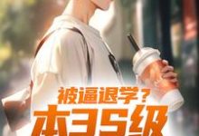 陈启的小说在哪里看?免费在线阅读被逼退学?本3S级弓手不装了-书格格