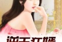 逆天狂婿(龙王殿)免费阅读,逆天狂婿(龙王殿)章节在线阅读-书格格