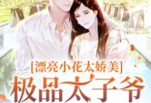 完结版《漂亮小花太娇美,极品太子爷被撩疯》章节阅读-书格格