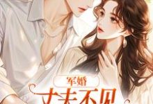 军婚:丈夫不见女儿被拐,我好累小说,军婚:丈夫不见女儿被拐,我好累许岁宁沈君屹-书格格