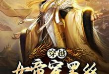 《穿越:女帝穿黑丝,这是我能看的么》小说章节列表免费试读,林明叶清欢小说在线阅读-书格格
