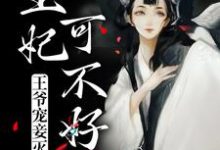 王爷宠妾灭妻,王妃可不好惹慕青曦玉昊宸,王爷宠妾灭妻,王妃可不好惹章节在线阅读-书格格