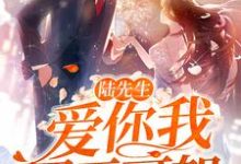 顾言笙陆寒霆小说《陆先生，爱你我罪无可恕》在线阅读-书格格