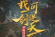 神魔同途:我一剑可逆天下叶小川元小楼小说免费阅读-书格格