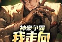 神豪争霸:我走向赛季巅峰小说有没有完整的免费版本在线阅读?-书格格