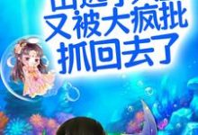 凤郁商沉婳为主角的小说叫什么?免费看呜!出逃小人鱼又被大疯批抓回去了-书格格