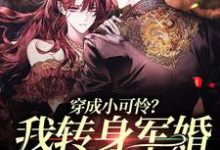 穿成小可怜？我转身军婚嫁兵哥哥林曦纪晏殊小说大结局免费试读-书格格