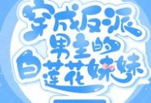 穿成反派男主的白莲花妹妹水汁儿君墨寒许明,穿成反派男主的白莲花妹妹在线无弹窗阅读-书格格