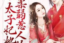 哪里能找到甜蜜宠爱:太子妃她柔弱惹人怜小说的全部章节?-书格格