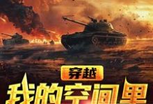 穿越,我的空间里有海量武器小说完结版章节免费阅读-书格格