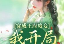 乔容锦是哪本书的主角?穿成王府废妾,我开局被陷害免费读-书格格