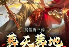 贫僧唐三葬,葬天葬地葬众生苏川小说在线章节目录阅读最新章节-书格格