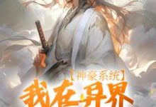 神豪系统:我在异界杀伐果断主角叶枫小说完结版章节在线阅读-书格格