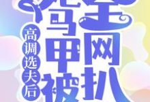 高调选夫后,她马甲被全网扒了 梨烟温西沉小说在线章节免费阅读-书格格