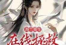 主角海兰如懿小说海兰重生,在线拯救懿症患者免费阅读-书格格