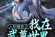 已完结小说《入职锦衣卫,我在武尊世界为朝廷效力》章节免费阅读-书格格