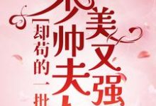 少帅夫人美又强,却苟的一批这本小说完结了吗?免费查看最新章节-书格格