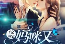 千亿萌宝:妈咪又逃跑了主角叶挽宁薄湛言小说完结版章节在线阅读-书格格