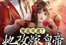 宠妾灭妻?她改嫁皇帝生皇子小说的免费电子版在哪里可以下载或阅读?-书格格