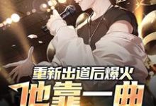 小说《重新出道后爆火,他靠一曲横扫网络》在线章节阅读-书格格