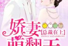已完结小说《总裁在上：娇妻萌翻天》章节免费阅读-书格格
