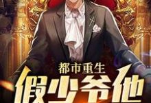 都市重生:假少爷他鸠占鹊巢小说的无弹窗阅读体验,寻找免费阅读网站-书格格