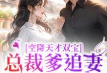 在线寻找空降天才双宝,总裁爹追妻太疯狂小说的无删减版本-书格格