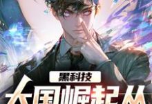 寻找能够免费阅读黑科技:大国崛起从改飞船说起小说的平台-书格格