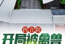 四合院:开局被禽兽们搬空家杨浩,四合院:开局被禽兽们搬空家最新章节-书格格