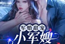 军婚甜宠:小军嫂又美又娇小说完结版章节免费阅读-书格格
