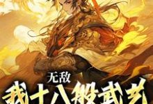 《无敌:我十八般武艺样样精通》全集免费在线阅读(陆通)-书格格