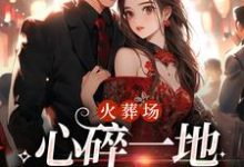 主角何婉小说完结版在线阅读,火葬场:心碎一地,娇娇不爱了免费看-书格格