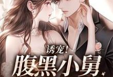 陆迟晏宋听晚是哪本书的主角?诱宠!腹黑小舅肆意妄吻免费读-书格格