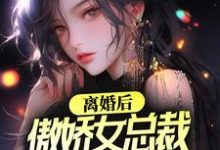 叶辰柳若雪的完整故事在哪里？读离婚后，傲娇女总裁后悔了小说-书格格