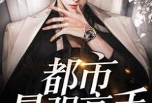 姜树桂小雨是哪本书的主角?都市最强高手免费读-书格格