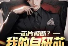 郝淮小说《芯片被断?我的自研芯片火爆全球》在线阅读-书格格