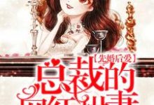 哪里能找到先婚后爱：总裁的网红甜妻小说的最新更新和免费章节？-书格格