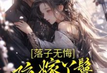 落子无悔,陪嫁丫鬟一心逃离免费阅读,落子无悔,陪嫁丫鬟一心逃离章节目录-书格格