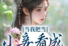 苏幼薇李景恒为主角的小说好看吗?求当我把当小妾看成打工后免费试读-书格格