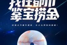 穿越百年,我在都市鉴宝捞金小说的免费阅读版本在哪里可以找到?-书格格