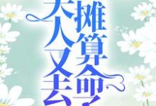 完结版《爷,夫人又去摆摊算命了》章节阅读-书格格