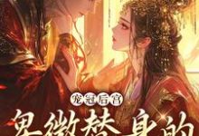 免费看宠冠后宫:卑微替身的逆袭指南小说的网站有哪些?-书格格